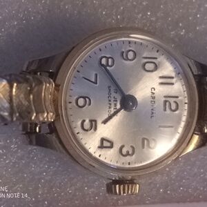 Silver Cardinal Women's Watch